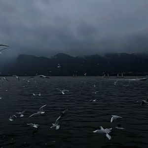 国内真实愉拍系列在线
